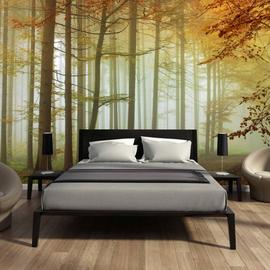 Fotobehang bos slaapkamer bomen natuur muurdecoratie